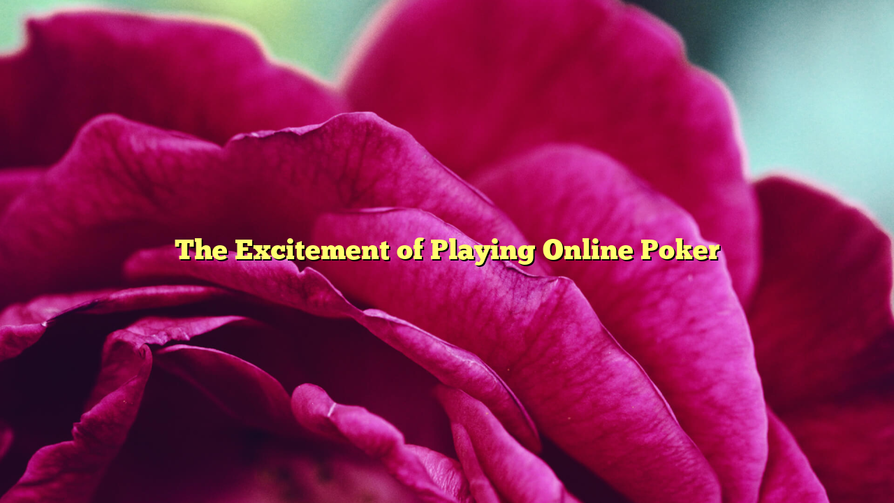 The Excitement of Playing Online Poker