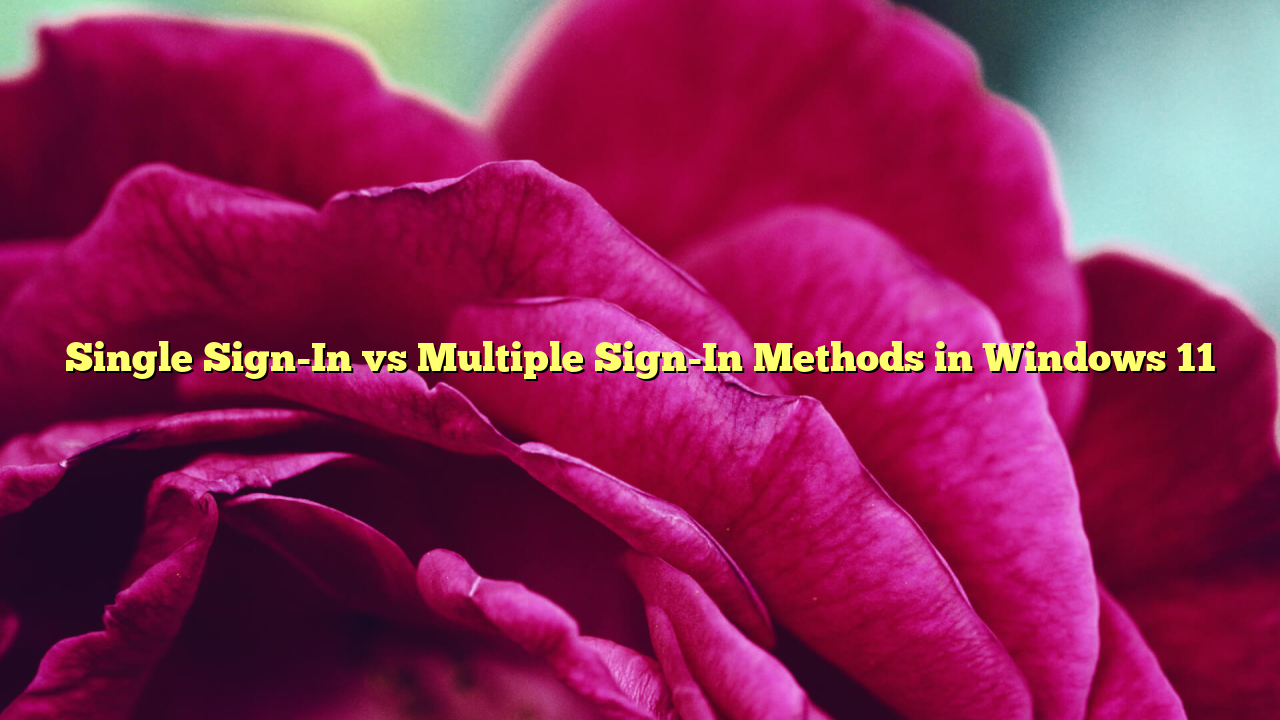 Single Sign-In vs Multiple Sign-In Methods in Windows 11